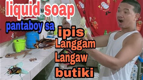 mabisang pantaboy sa langaw